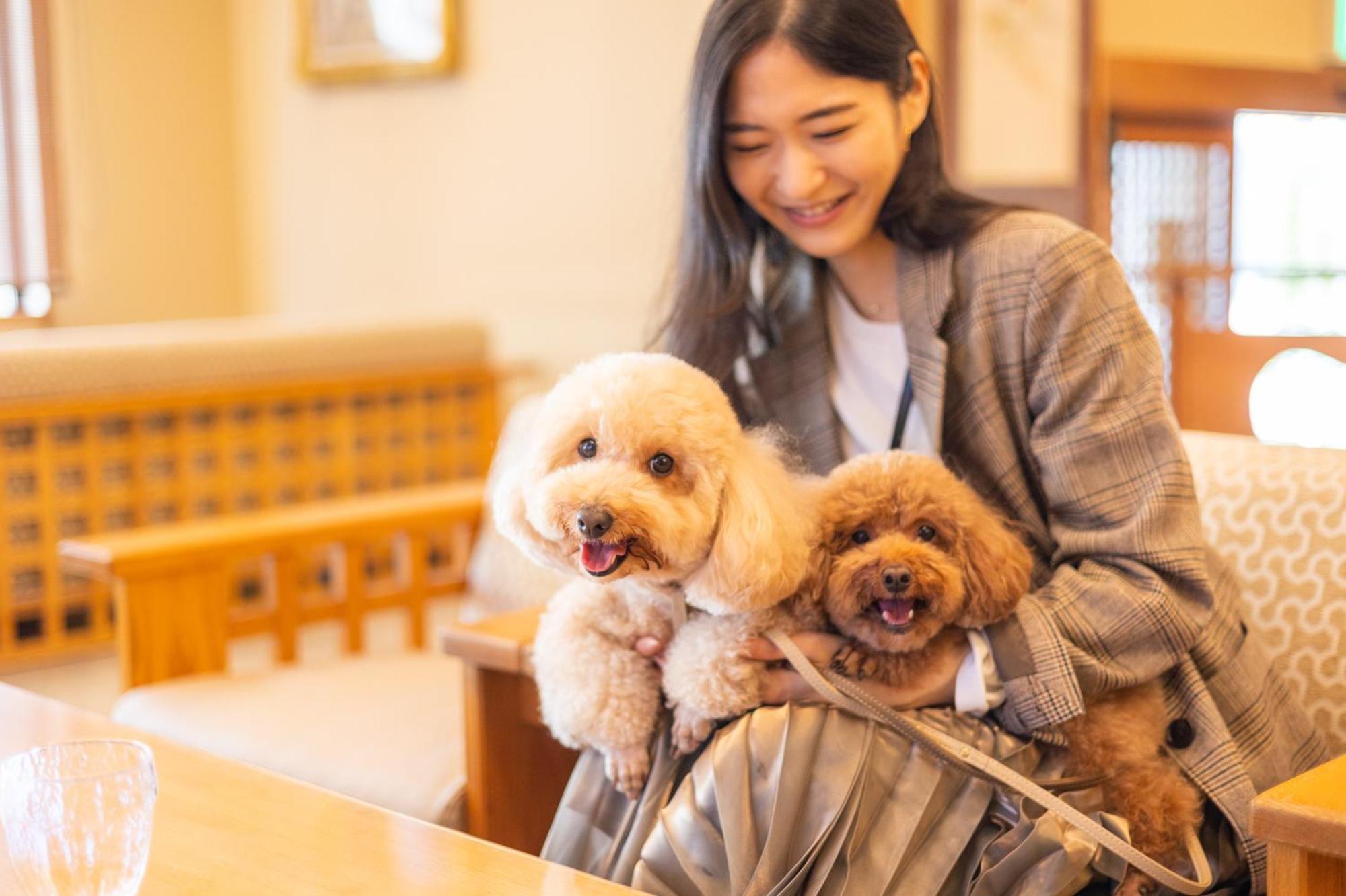 Komatsuya Hachinobou Izunokuni Ngoại thất bức ảnh