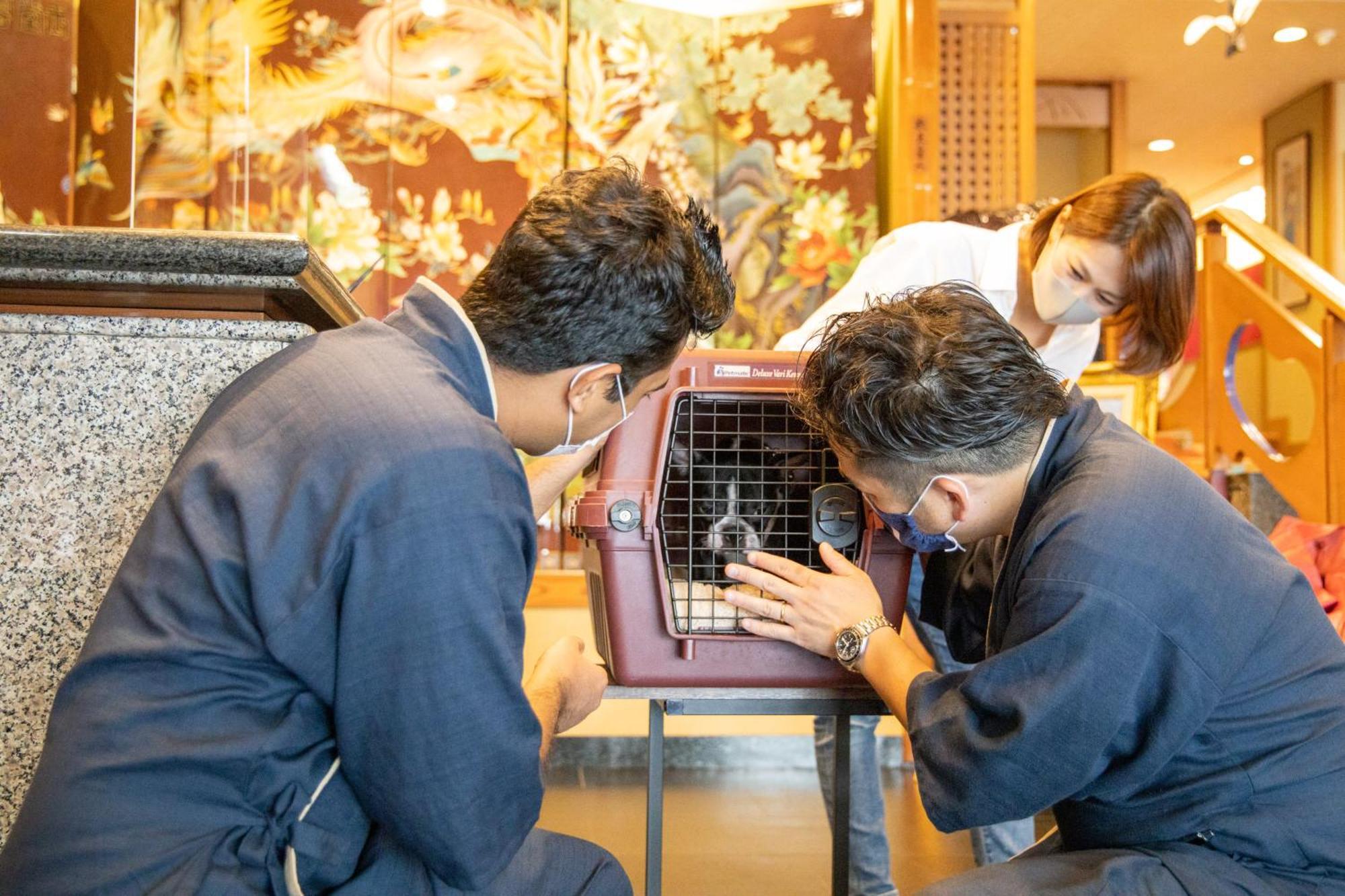 Komatsuya Hachinobou Izunokuni Ngoại thất bức ảnh