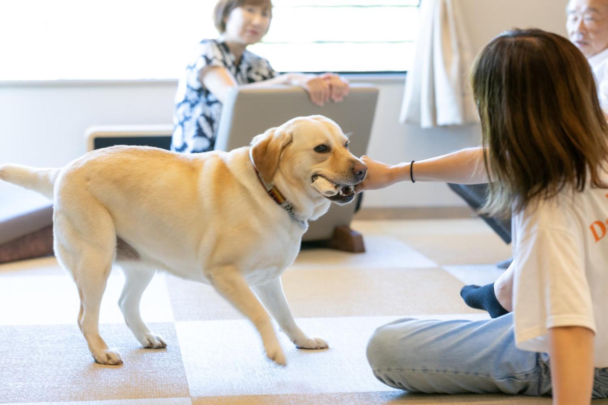 Komatsuya Hachinobou Izunokuni Ngoại thất bức ảnh