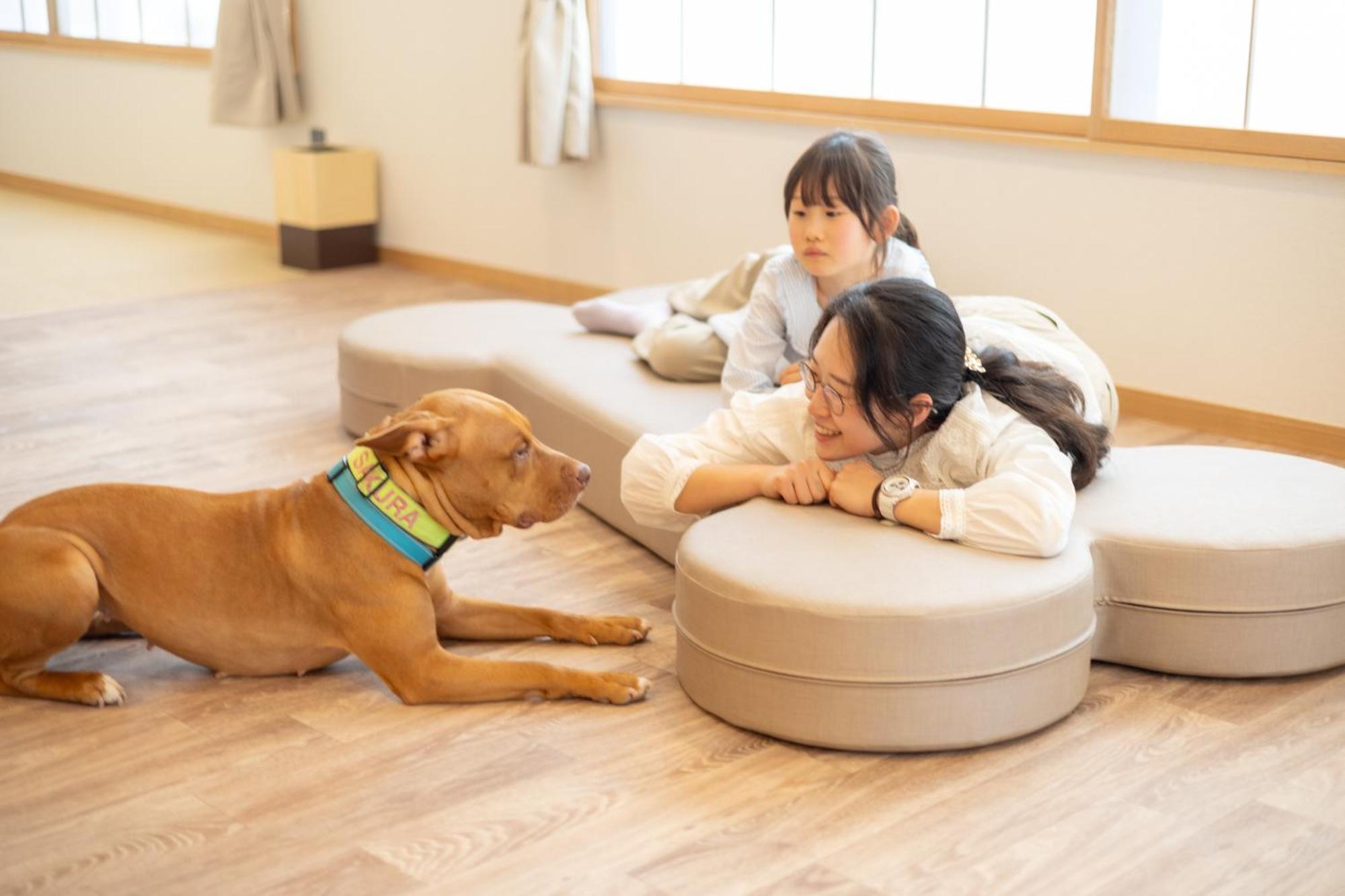 Komatsuya Hachinobou Izunokuni Ngoại thất bức ảnh